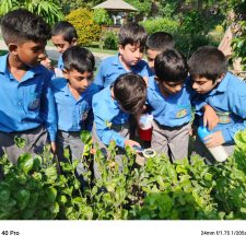 Invertebrates and Tiny plants